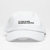 Life is more fun - Dad Hat 