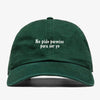 I Don't Ask For Permission - Dad Hat