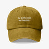 The Perfection Prewashed Cap 