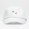 Mexico Map - Dad Hat